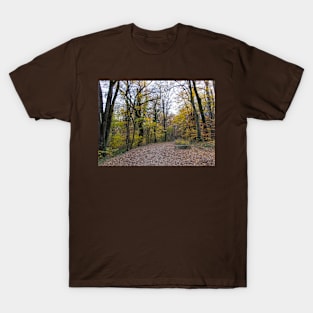 Walkway in a forest with yellow autumn trees T-Shirt